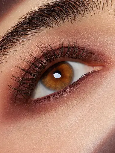 Estée Lauder Women's Luxe Eyeshadow Palette - Boho Rose | Thumbnail 12 Estée Lauder Women's Luxe Eyeshadow Palette - Boho Rose | Thumbnail 12