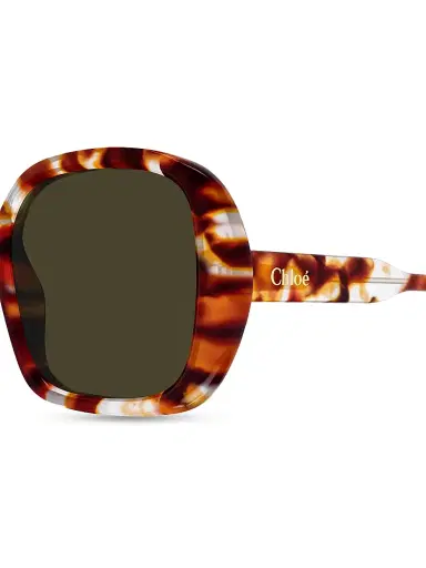 Chloé Women's Gayia 55MM Square Sunglasses - Havana | Thumbnail 4 Chloé Women's Gayia 55MM Square Sunglasses - Havana | Thumbnail 4