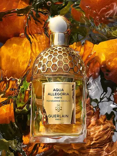 GUERLAIN Women's Aqua Allegoria Forte Mandarine Basilic Eau De Parfum 4.2 oz | Thumbnail 7 GUERLAIN Women's Aqua Allegoria Forte Mandarine Basilic Eau De Parfum 4.2 oz | Thumbnail 7