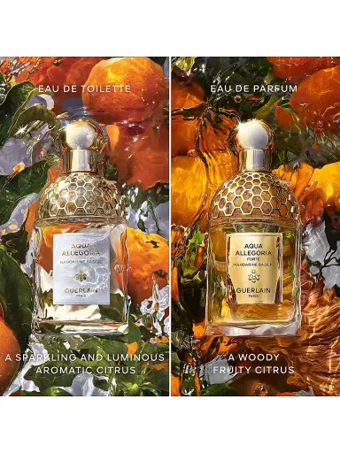 GUERLAIN Women's Aqua Allegoria Forte Mandarine Basilic Eau De Parfum 4.2 oz | Thumbnail 9 GUERLAIN Women's Aqua Allegoria Forte Mandarine Basilic Eau De Parfum 4.2 oz | Thumbnail 9