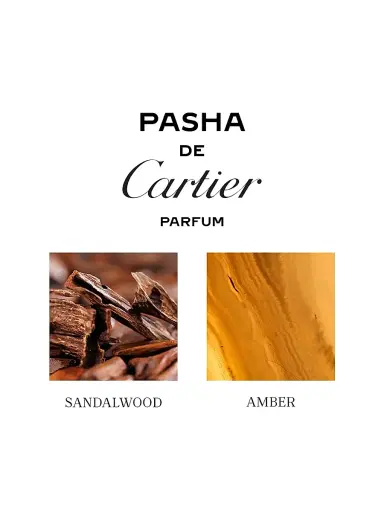 Cartier Men's Revamp Pasha Eau de Parfum Refill - 6.8 oz | Thumbnail 4 Cartier Men's Revamp Pasha Eau de Parfum Refill - 6.8 oz | Thumbnail 4