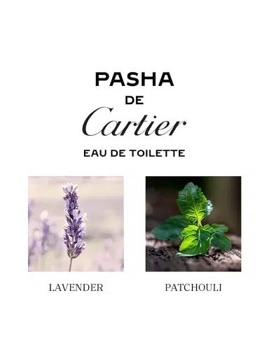Cartier Men's Pasha de Eau de Toilette Refill - 6.8 oz | Thumbnail 4 Cartier Men's Pasha de Eau de Toilette Refill - 6.8 oz | Thumbnail 4