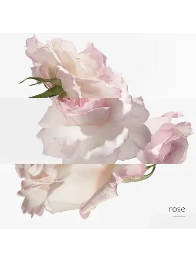HERMÈS Concentré de pamplemousse rose Eau de Toilette | Thumbnail 4 HERMÈS Concentré de pamplemousse rose Eau de Toilette | Thumbnail 4