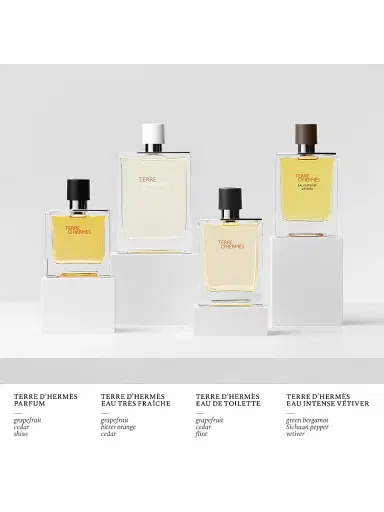 HERMÈS Men's Terre d'Hermès Perfume - Size 2.5 oz | Thumbnail 5 HERMÈS Men's Terre d'Hermès Perfume - Size 2.5 oz | Thumbnail 5