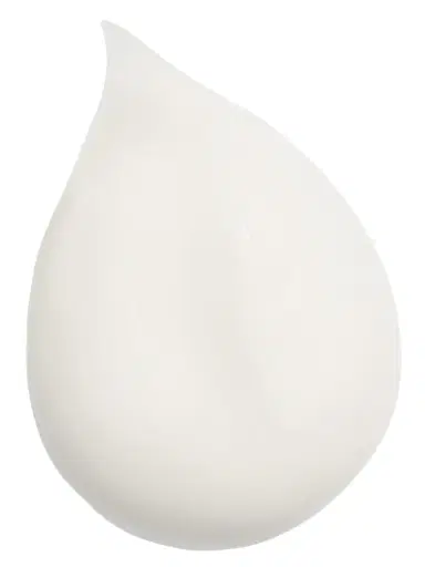 Sisley-Paris Women's Hair Rituel Jumbo Revitalizing Smoothing Shampoo | Thumbnail 2 Sisley-Paris Women's Hair Rituel Jumbo Revitalizing Smoothing Shampoo | Thumbnail 2