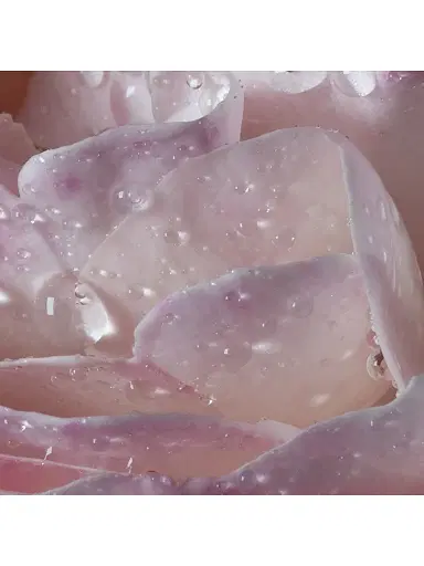 Maison Francis Kurkdjian Women's L'Eau À La Rose Eau de Toilette | Thumbnail 8 Maison Francis Kurkdjian Women's L'Eau À La Rose Eau de Toilette | Thumbnail 8