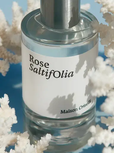 Maison Crivelli Rose Saltifolia Eau De Parfum 3.4 oz | Thumbnail 3 Maison Crivelli Rose Saltifolia Eau De Parfum 3.4 oz | Thumbnail 3