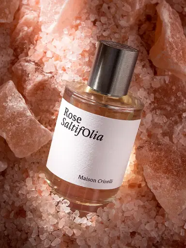 Maison Crivelli Rose Saltifolia Eau De Parfum 3.4 oz | Thumbnail 5 Maison Crivelli Rose Saltifolia Eau De Parfum 3.4 oz | Thumbnail 5
