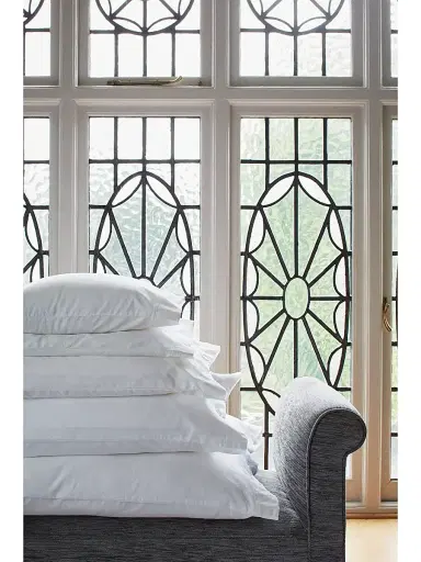 Gingerlily Silk Blend Pillow Insert - White European | Thumbnail 7 Gingerlily Silk Blend Pillow Insert - White European | Thumbnail 7