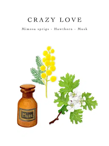 Baobab Collection Crazy Love Max 24 Candle Small | Thumbnail 5 Baobab Collection Crazy Love Max 24 Candle Small | Thumbnail 5
