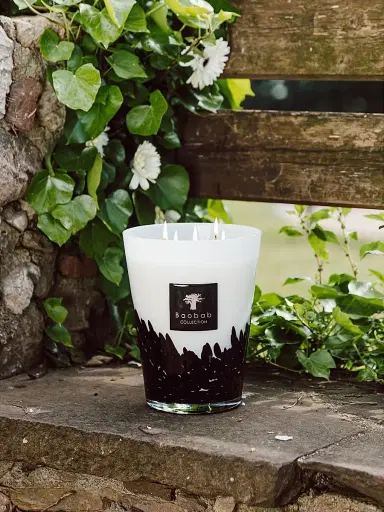 Baobab Collection Feathers Max24 Candle Small | Thumbnail 7 Baobab Collection Feathers Max24 Candle Small | Thumbnail 7