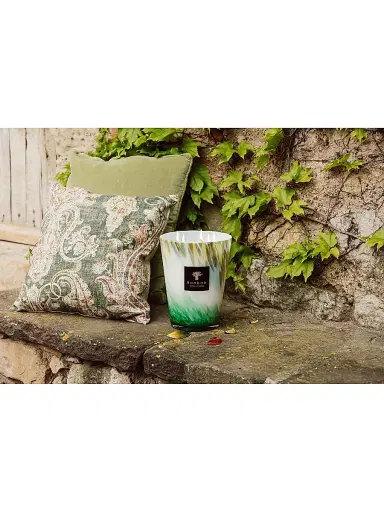 Baobab Collection Eden Max24 Forest Candle Medium | Thumbnail 7 Baobab Collection Eden Max24 Forest Candle Medium | Thumbnail 7