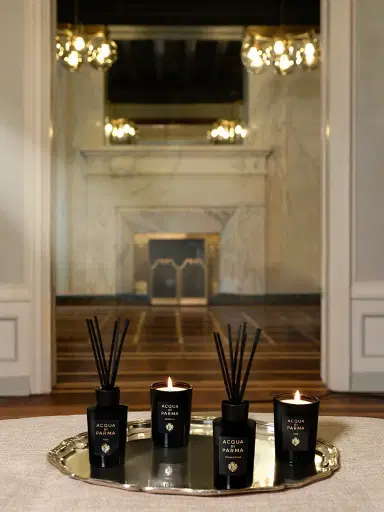 Acqua di Parma Signatures Of The Sun Yuzu Diffuser | Thumbnail 4 Acqua di Parma Signatures Of The Sun Yuzu Diffuser | Thumbnail 4