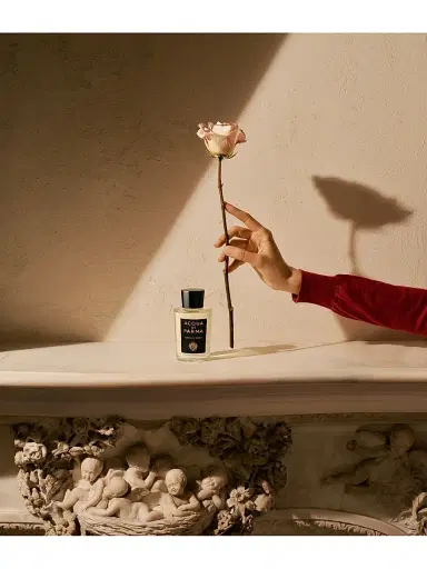 Acqua di Parma Signatures Of The Sun Luce di Rosa Eau de Parfum | Thumbnail 8 Acqua di Parma Signatures Of The Sun Luce di Rosa Eau de Parfum | Thumbnail 8