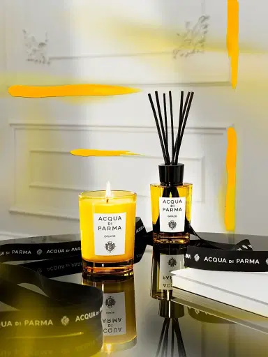 Acqua di Parma Grazie Room Diffuser | Thumbnail 3 Acqua di Parma Grazie Room Diffuser | Thumbnail 3
