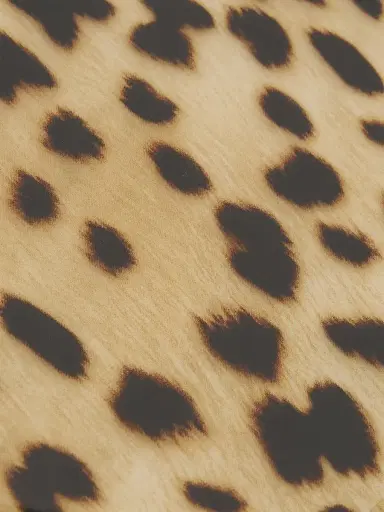 Etro Capsule Leopard Tray - Brown | Thumbnail 3 Etro Capsule Leopard Tray - Brown | Thumbnail 3
