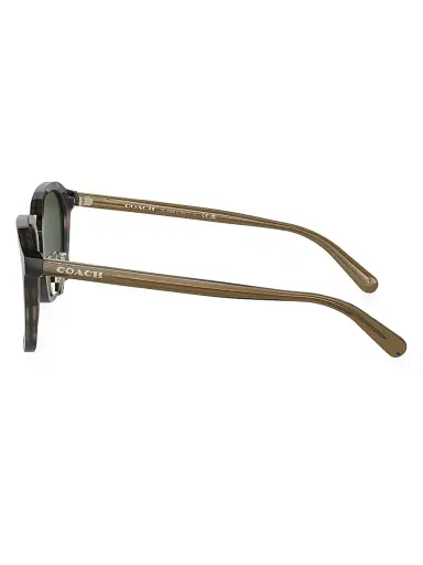 COACH Men's 54MM Round Sunglasses - Tan Havana Green | Thumbnail 4 COACH Men's 54MM Round Sunglasses - Tan Havana Green | Thumbnail 4
