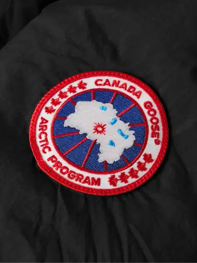 Canada Goose Lawrence Logo-Appliquéd Quilted Enduraluxe® Hooded Down Jacket - Men | Thumbnail 4 Canada Goose Lawrence Logo-Appliquéd Quilted Enduraluxe® Hooded Down Jacket - Men | Thumbnail 4