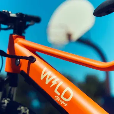 Bluejay New Bluejay WILD - Electric Orange Kids Electric Bike | Thumbnail 8 Bluejay New Bluejay WILD - Electric Orange Kids Electric Bike | Thumbnail 8