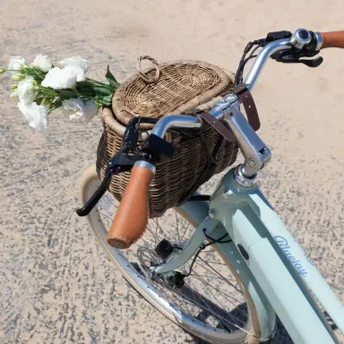 Bluejay NEW! Bluejay Premiere Lite - Mint Green Electric Bike | Thumbnail 5 Bluejay NEW! Bluejay Premiere Lite - Mint Green Electric Bike | Thumbnail 5