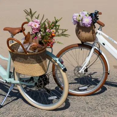 Bluejay NEW! Bluejay Premiere Lite - Mint Green Electric Bike | Thumbnail 6 Bluejay NEW! Bluejay Premiere Lite - Mint Green Electric Bike | Thumbnail 6