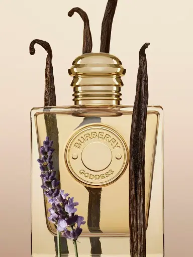 Burberry Women's Goddess Eau de Parfum for Women 3.4 oz | Thumbnail 2 Burberry Women's Goddess Eau de Parfum for Women 3.4 oz | Thumbnail 2