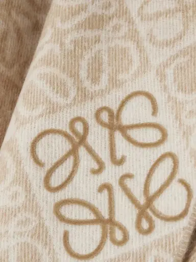 Loewe Fringed Wool And Cashmere-blend Jacquard Scarf | Thumbnail 3 Loewe Fringed Wool And Cashmere-blend Jacquard Scarf | Thumbnail 3