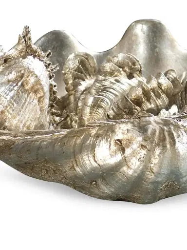 Regina Andrew Medium Replica Clam Shell Bowl | Thumbnail 5 Regina Andrew Medium Replica Clam Shell Bowl | Thumbnail 5