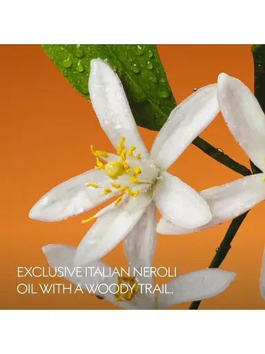 Gucci The Alchemist's Garden Fiori di Neroli Eau de Parfum | Thumbnail 3 Gucci The Alchemist's Garden Fiori di Neroli Eau de Parfum | Thumbnail 3