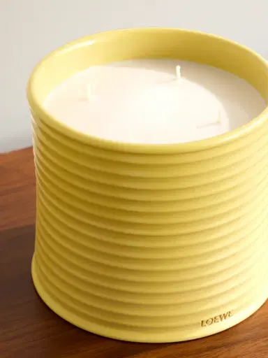 LOEWE PERFUMES Honeysuckle Large Scented Candle, 2120g - Men | Thumbnail 4 LOEWE PERFUMES Honeysuckle Large Scented Candle, 2120g - Men | Thumbnail 4