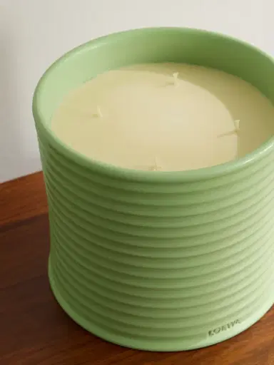 LOEWE PERFUMES Cucumber Large Scented Candle, 2120g - Men | Thumbnail 4 LOEWE PERFUMES Cucumber Large Scented Candle, 2120g - Men | Thumbnail 4