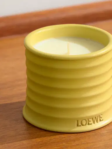 LOEWE PERFUMES Honeysuckle Small Scented Candle, 170g - Men | Thumbnail 4 LOEWE PERFUMES Honeysuckle Small Scented Candle, 170g - Men | Thumbnail 4