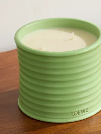 LOEWE PERFUMES Cucumber Medium Scented Candle, 610g - Men | Thumbnail 4 LOEWE PERFUMES Cucumber Medium Scented Candle, 610g - Men | Thumbnail 4
