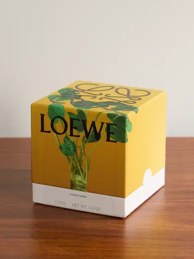 LOEWE PERFUMES Wasabi Small Scented Candle, 170g - Men | Thumbnail 3 LOEWE PERFUMES Wasabi Small Scented Candle, 170g - Men | Thumbnail 3