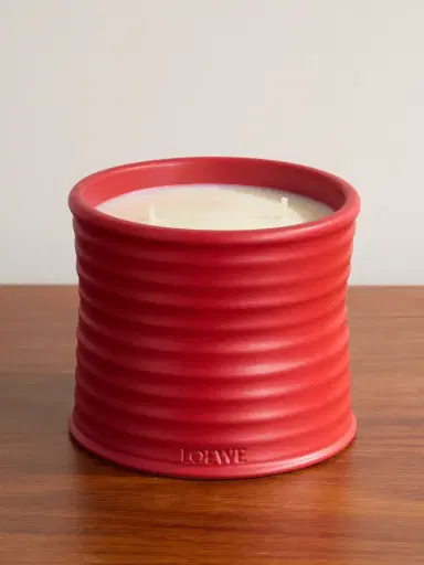 LOEWE PERFUMES Tomato Leaves Medium Scented Candle, 610g - Men | Thumbnail 1 LOEWE PERFUMES Tomato Leaves Medium Scented Candle, 610g - Men | Thumbnail 1