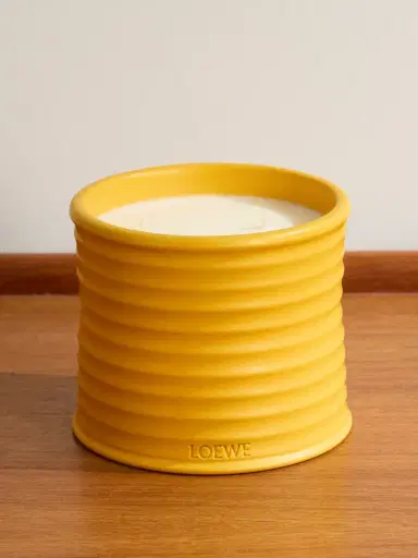 LOEWE PERFUMES Wasabi Medium Scented Candle, 610g - Men | Thumbnail 1 LOEWE PERFUMES Wasabi Medium Scented Candle, 610g - Men | Thumbnail 1