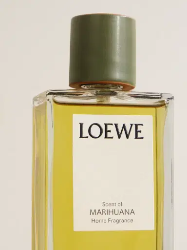 LOEWE PERFUMES Home Fragrance - Marihuana, 150ml - Men | Thumbnail 4 LOEWE PERFUMES Home Fragrance - Marihuana, 150ml - Men | Thumbnail 4