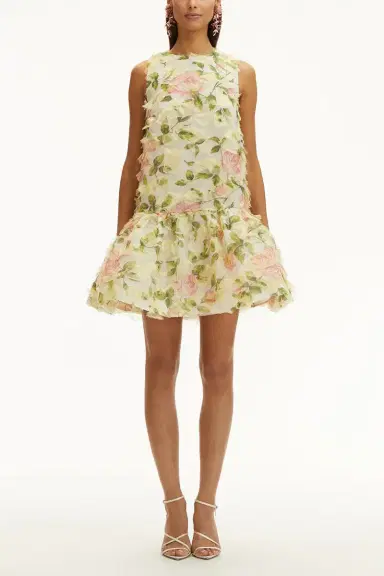 Oscar de la Renta Sleeveless English Rose Dress | Thumbnail 2 Oscar de la Renta Sleeveless English Rose Dress | Thumbnail 2