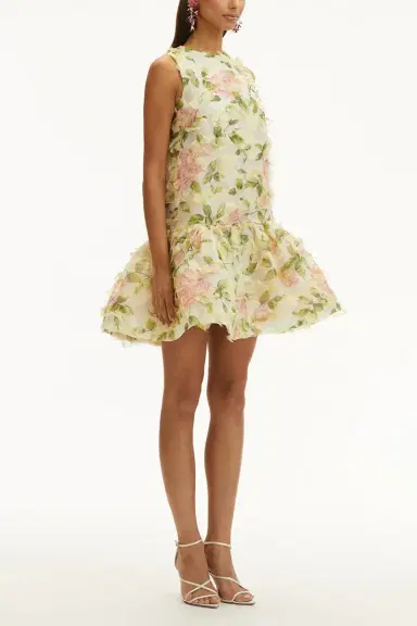 Oscar de la Renta Sleeveless English Rose Dress | Thumbnail 3 Oscar de la Renta Sleeveless English Rose Dress | Thumbnail 3