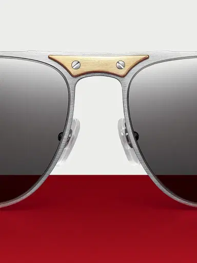 Cartier Men's Santos Evolution 58MM Navigator Sunglasses - Gold Silver | Thumbnail 6 Cartier Men's Santos Evolution 58MM Navigator Sunglasses - Gold Silver | Thumbnail 6