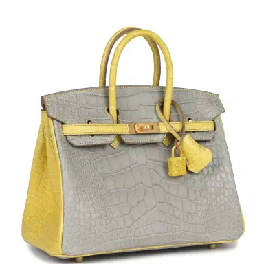 HERMÈS Hermes Special Order (HSS) Birkin 25 Gris Perle and Mimosa Matte Alligator Brushed Gold Hardware | Thumbnail 2 HERMÈS Hermes Special Order (HSS) Birkin 25 Gris Perle and Mimosa Matte Alligator Brushed Gold Hardware | Thumbnail 2