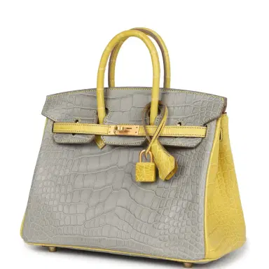 HERMÈS Hermes Special Order (HSS) Birkin 25 Gris Perle and Mimosa Matte Alligator Brushed Gold Hardware | Thumbnail 3 HERMÈS Hermes Special Order (HSS) Birkin 25 Gris Perle and Mimosa Matte Alligator Brushed Gold Hardware | Thumbnail 3
