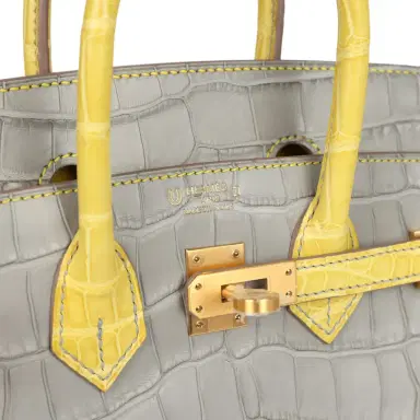HERMÈS Hermes Special Order (HSS) Birkin 25 Gris Perle and Mimosa Matte Alligator Brushed Gold Hardware | Thumbnail 7 HERMÈS Hermes Special Order (HSS) Birkin 25 Gris Perle and Mimosa Matte Alligator Brushed Gold Hardware | Thumbnail 7