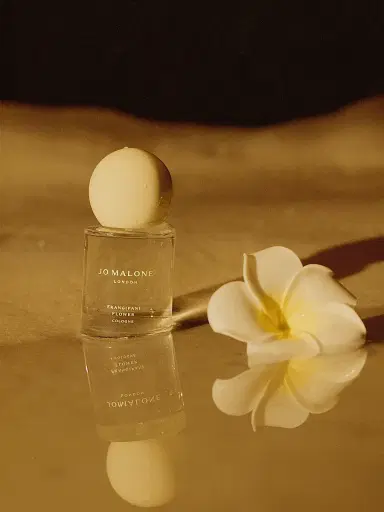 Jo Malone London Frangipani Flower Cologne 3.4 oz | Thumbnail 8 Jo Malone London Frangipani Flower Cologne 3.4 oz | Thumbnail 8