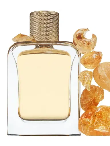 Veronique Gabai Golden Oud Eau de Parfum 2.9 oz | Thumbnail 2 Veronique Gabai Golden Oud Eau de Parfum 2.9 oz | Thumbnail 2