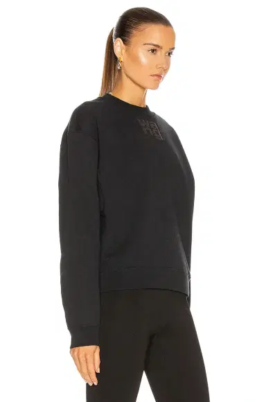 Alexander Wang Puff Paint Foundation Sweatshirt | Thumbnail 2 Alexander Wang Puff Paint Foundation Sweatshirt | Thumbnail 2