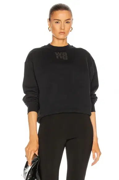 Alexander Wang Puff Paint Foundation Sweatshirt | Thumbnail 1 Alexander Wang Puff Paint Foundation Sweatshirt | Thumbnail 1