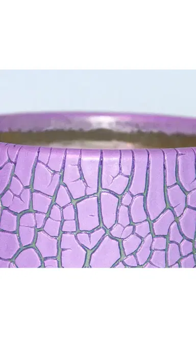 Houseplant Crackle Candle | Thumbnail 2 Houseplant Crackle Candle | Thumbnail 2