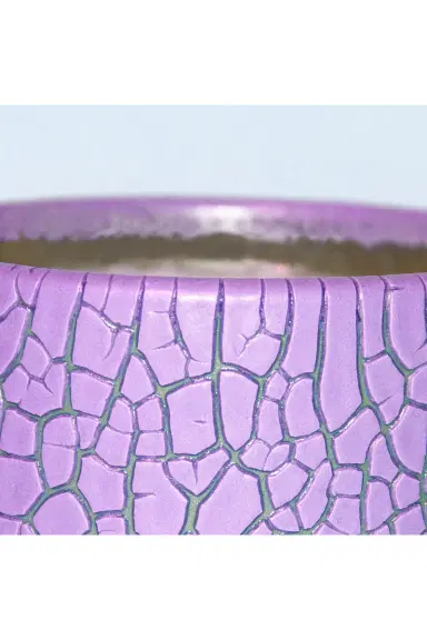 Houseplant Crackle Candle | Thumbnail 4 Houseplant Crackle Candle | Thumbnail 4