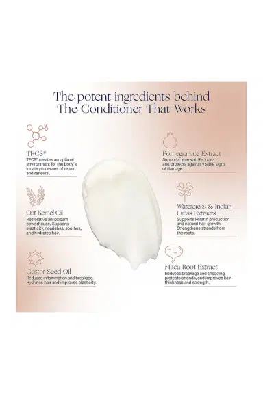 Augustinus Bader The Conditioner | Thumbnail 4 Augustinus Bader The Conditioner | Thumbnail 4
